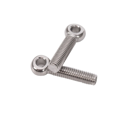 Chrome Plated Finish M2 M2.5 M3 M4 M5 M6 M8 M10 M12 M14 M16 M20 Stainless Steel Swing Bolts with Thread and Finish