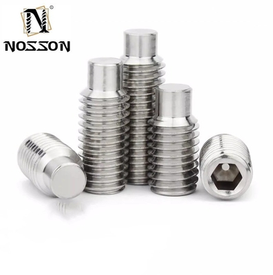 Pan Head Hexagon Allen Screw Flat Point OEM Brass Stainless Steel Hollow Screws with Custom Nylon Tip and Plain Finish