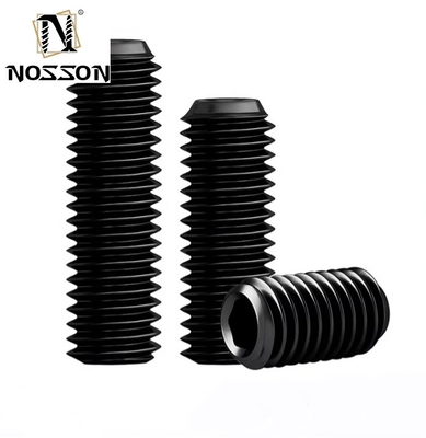 Pan Head Hexagon Allen Screw Flat Point OEM Brass Stainless Steel Hollow Screws with Custom Nylon Tip and Plain Finish