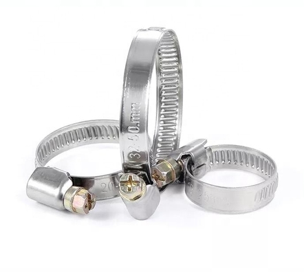 ANSI/ASME Standard Slotted Head Screw Hose Clamps for German Type Heavy Duty Bolts and Stainless Steel ODM Customization