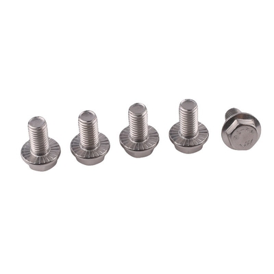 Standard DIN Industrial Serrated Titanium Hexagon Flange Bolt m6 m10 m12 for Carriage Bolts