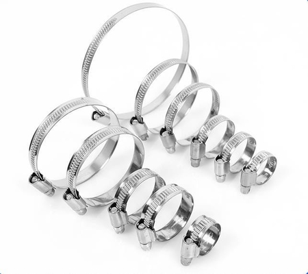 ODM Support Metric Measurement DIN Standard Heavy Duty 304 Stainless Steel Hose Clamp for Customized Size German Type Hydraulic