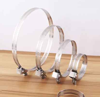 Self-locking Stainless Steel Cable Ties for Heavy Duty Applications 4.6*300mm SS304/316 Fscat
