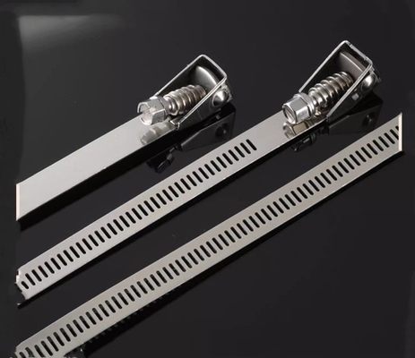 Self-locking Stainless Steel Cable Ties for Heavy Duty Applications 4.6*300mm SS304/316 Fscat