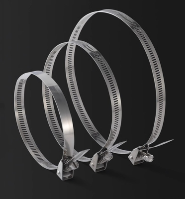 Self-locking Stainless Steel Cable Ties for Heavy Duty Applications 4.6*300mm SS304/316 Fscat