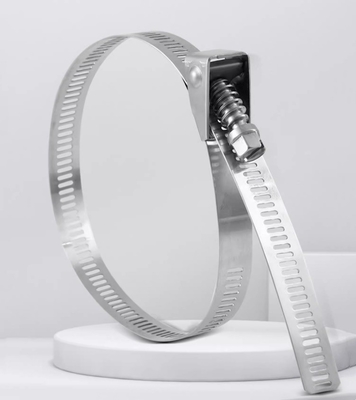 Self-locking Stainless Steel Cable Ties for Heavy Duty Applications 4.6*300mm SS304/316 Fscat