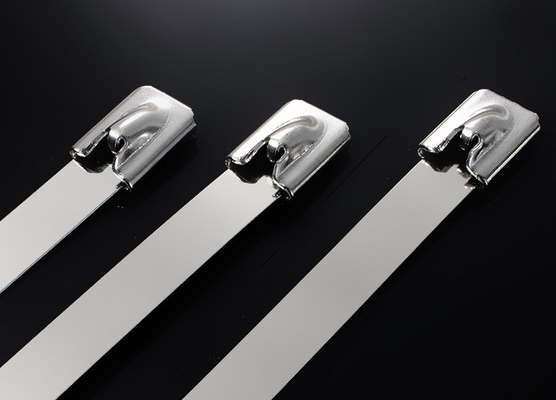 ISO Standard 100pcs Stainless Steel Cable Ties 12mm for Industrial Applications