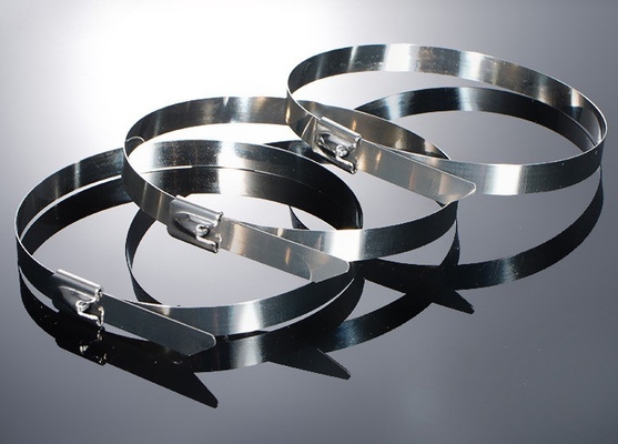 ISO Standard 100pcs Stainless Steel Cable Ties 12mm for Industrial Applications