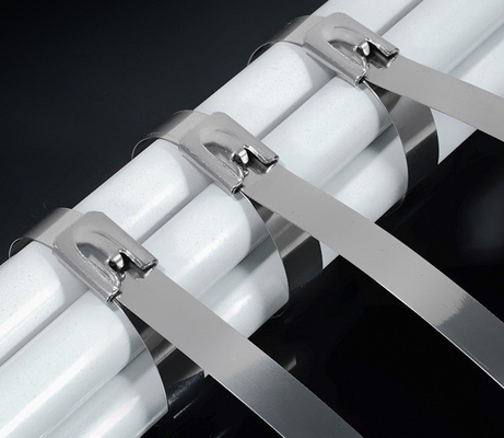 GB Standard Self-locking SS304/316 Stainless Steel Cable Ties 4.6*300mm within ISO for Fscat Raw Material