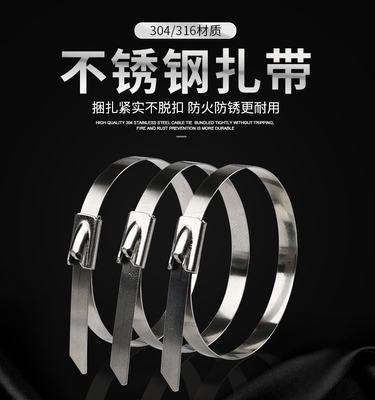 GB Standard Self-locking SS304/316 Stainless Steel Cable Ties 4.6*300mm within ISO for Fscat Raw Material