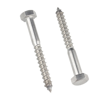 Metric Measurement System A2 A4 Hex Lag Screw Stainless Steel 304 316 Din 571 Wood Lag Screw