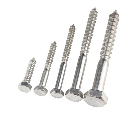 Metric Measurement System A2 A4 Hex Lag Screw Stainless Steel 304 316 Din 571 Wood Lag Screw