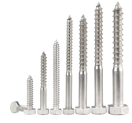 Metric Measurement System A2 A4 Hex Lag Screw Stainless Steel 304 316 Din 571 Wood Lag Screw