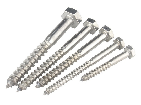 Metric Measurement System A2 A4 Hex Lag Screw Stainless Steel 304 316 Din 571 Wood Lag Screw