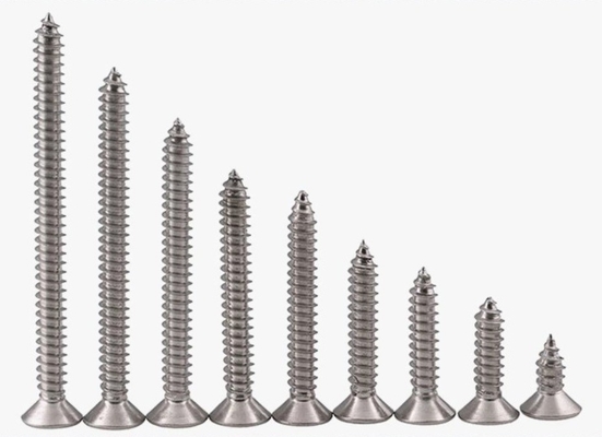 ANSI/ASME Standard SS304 SS316 Stainless Steel Self Tapping Deck Screw DIN7982 for Construction Corrosion Resistant