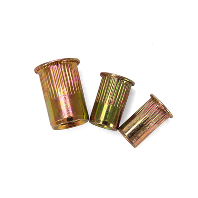Water Treatment Custom Hardware Rivet Nut Hollow Zinc Plating-coloring Lock Nuts Insert Blind Nuts DIN Standard with 304 Stainless Steel