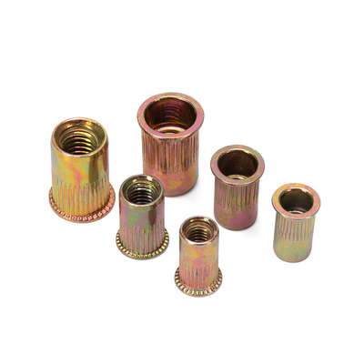 Water Treatment Custom Hardware Rivet Nut Hollow Zinc Plating-coloring Lock Nuts Insert Blind Nuts DIN Standard with 304 Stainless Steel
