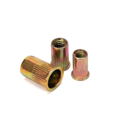 Water Treatment Custom Hardware Rivet Nut Hollow Zinc Plating-coloring Lock Nuts Insert Blind Nuts DIN Standard with 304 Stainless Steel