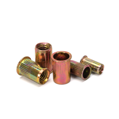 Water Treatment Custom Hardware Rivet Nut Hollow Zinc Plating-coloring Lock Nuts Insert Blind Nuts DIN Standard with 304 Stainless Steel