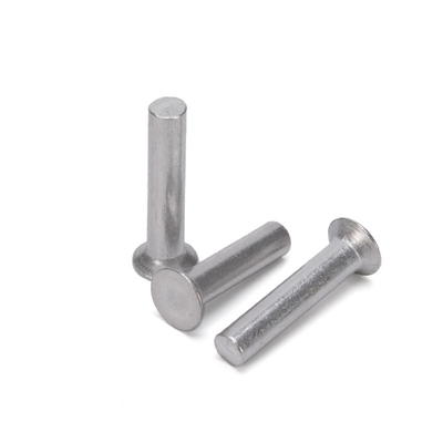Aluminium Flat Thin Head Iron Rivet Solid Rivet Handle Knock Rivet Kit for Brake and Clutch Lining in Bright Finish Easy