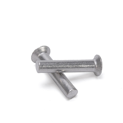 Aluminium Flat Thin Head Iron Rivet Solid Rivet Handle Knock Rivet Kit for Brake and Clutch Lining in Bright Finish Easy
