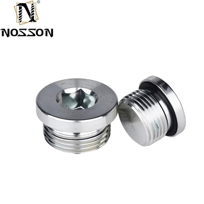 10mm ALLOY Stainless Steel Hexagon Socket Pipe Plug Screw Din908 with ZINC Treatment Protection Guaranteed by 10-