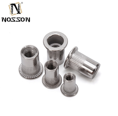 Zinc Plated M2 M4 M5 M8 M16 M14 M10 1.25 Hex Weld Flat Thin Head Insert Blind M20 Rivet Nut for High Pressure Applications