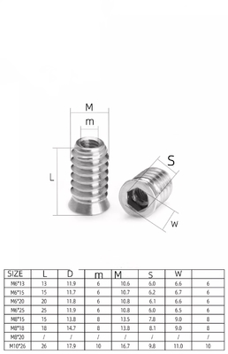 Metric Measurement System Color Zinc Plated M6 M8 M10 Furniture Wood Insert Nut for Wood General Industry