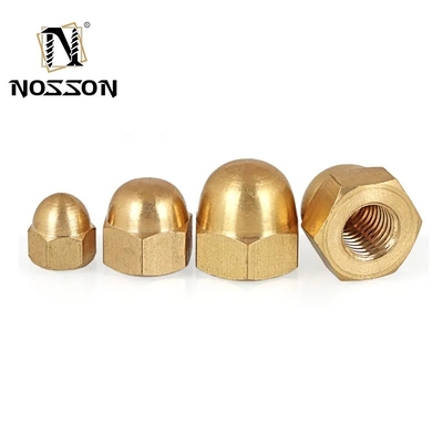 Metric Measurement System Oil Gas Industry SS 316 Dome Nut M3 M4 M5 M6 M8 for Heavy-Duty Applications