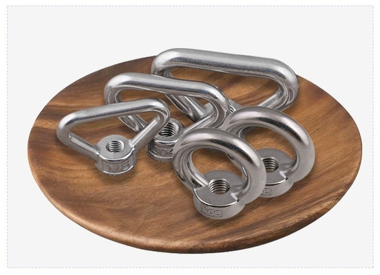Passivation DIN Standard Stainless Steel Lifting Eye Bolts Eye Nut for Heavy Industry and Industrial Polish Applications
