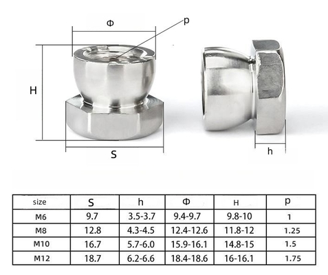 Chrome Plated M6 M8 M10 Stainless Steel Security Nuts 8mm-50mm Lengths for Bolt Protection and Metric Measurement System