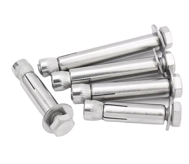 ISO Standard High Strength M8 M20 M36 Stainless Steel SS304 SS316 Wedge Anchor with Sample Included