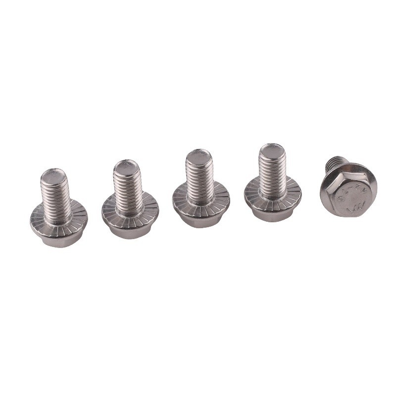 Standard DIN Industrial Serrated Titanium Hexagon Flange Bolt m6 m10 m12 for Carriage Bolts