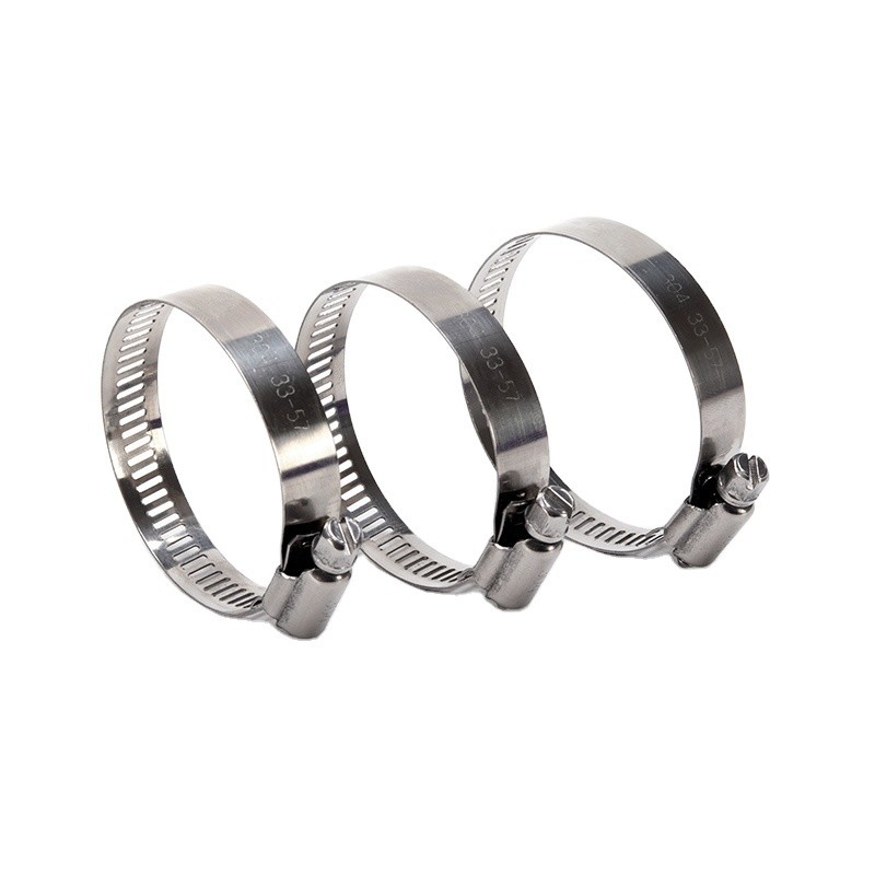 Metric Stainless Steel Thumb Screw Universal Worm Drive Clamp for Nonstandard Pipes and Hoses in Healthcare Applications