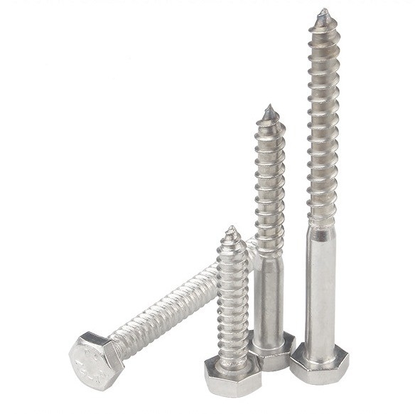 Metric Measurement System A2 A4 Hex Lag Screw Stainless Steel 304 316 Din 571 Wood Lag Screw