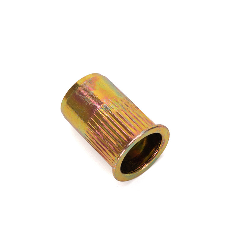 Water Treatment Custom Hardware Rivet Nut Hollow Zinc Plating-coloring Lock Nuts Insert Blind Nuts DIN Standard with 304 Stainless Steel