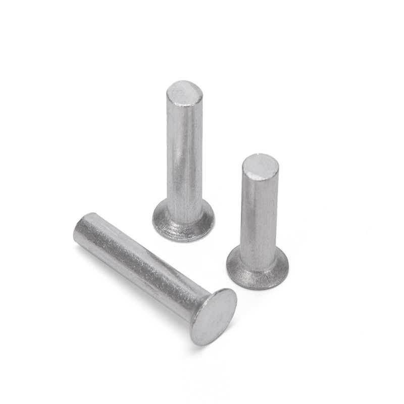 Aluminium Flat Thin Head Iron Rivet Solid Rivet Handle Knock Rivet Kit for Brake and Clutch Lining in Bright Finish Easy