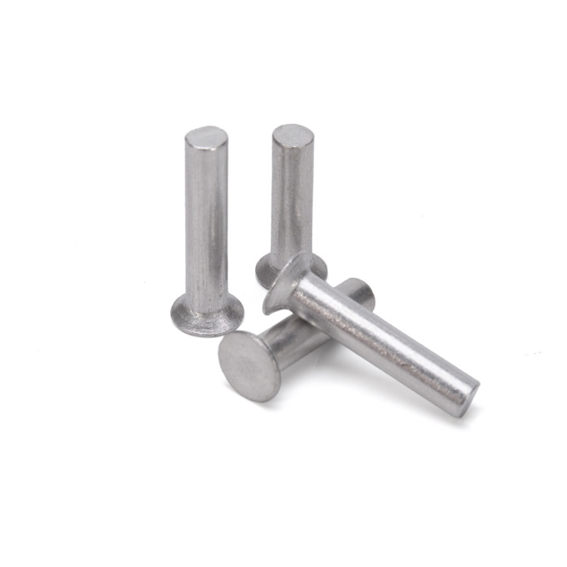 Bright Finish Flat Head Solid Aluminum Rivet Manufactured in GB Standard for Custom Assorted Making Applications