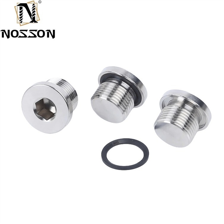 Stainless Steel Pipe Plug DIN908 Hex Socket Head Screw Plugs Internal Drive Screw Plugs 10mm