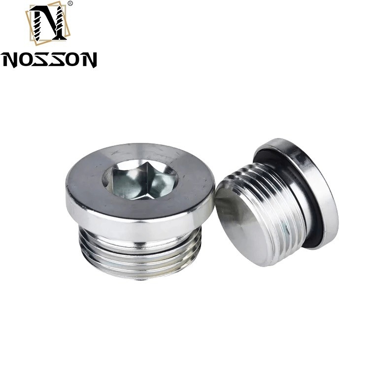 10mm ALLOY Stainless Steel Hexagon Socket Pipe Plug Screw Din908 with ZINC Treatment Protection Guaranteed by 10-