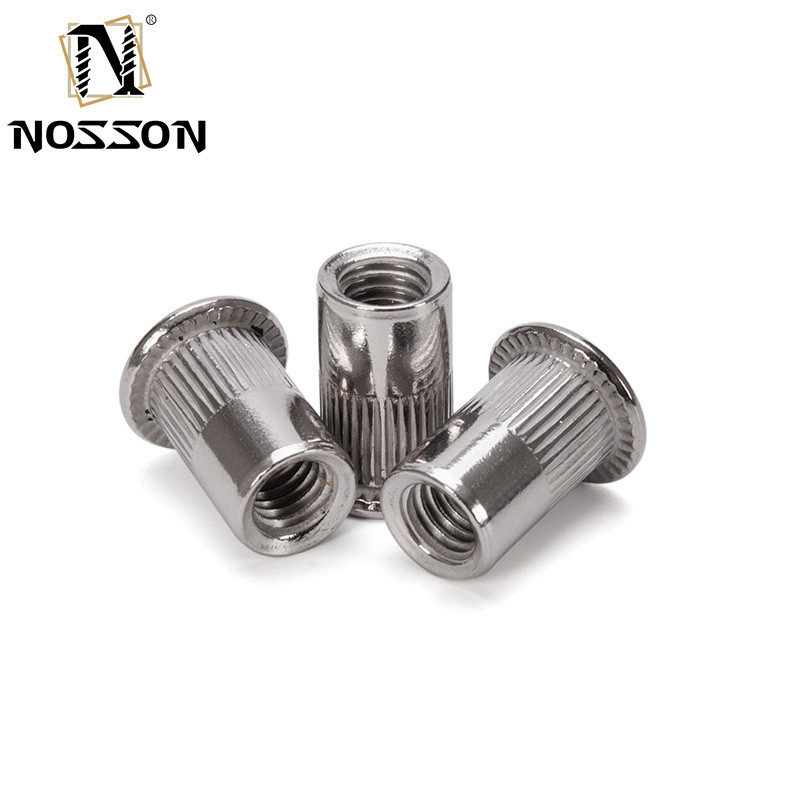 General Industry Blue and White Zinc Plated M8 M10 1.25 Threaded Pres Rivet Nut with Watertight Carbon Steel