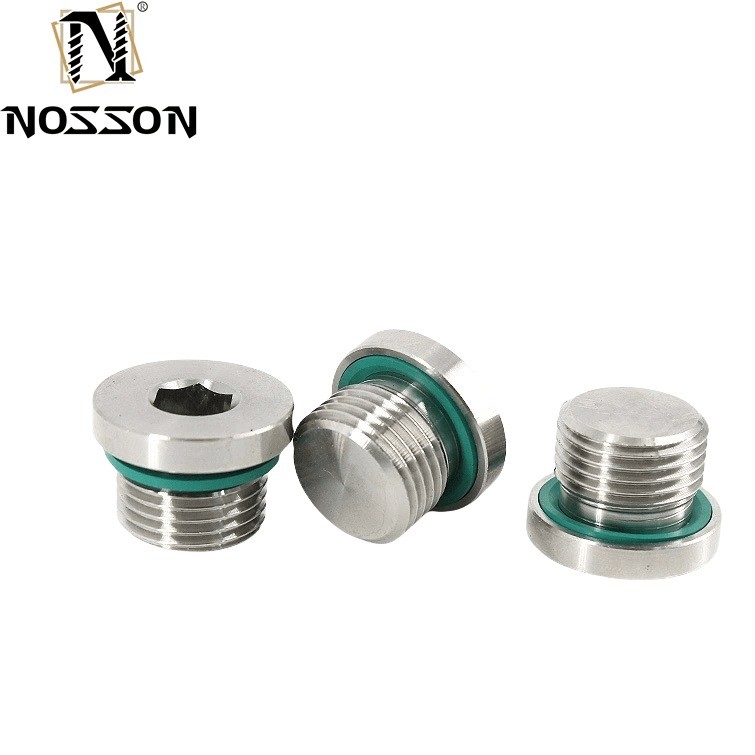 10mm Titanium Pipe Plug Stainless Steel Inox Polished Hex Socket Screws Din908 Your Go-To Product for Easy Installations