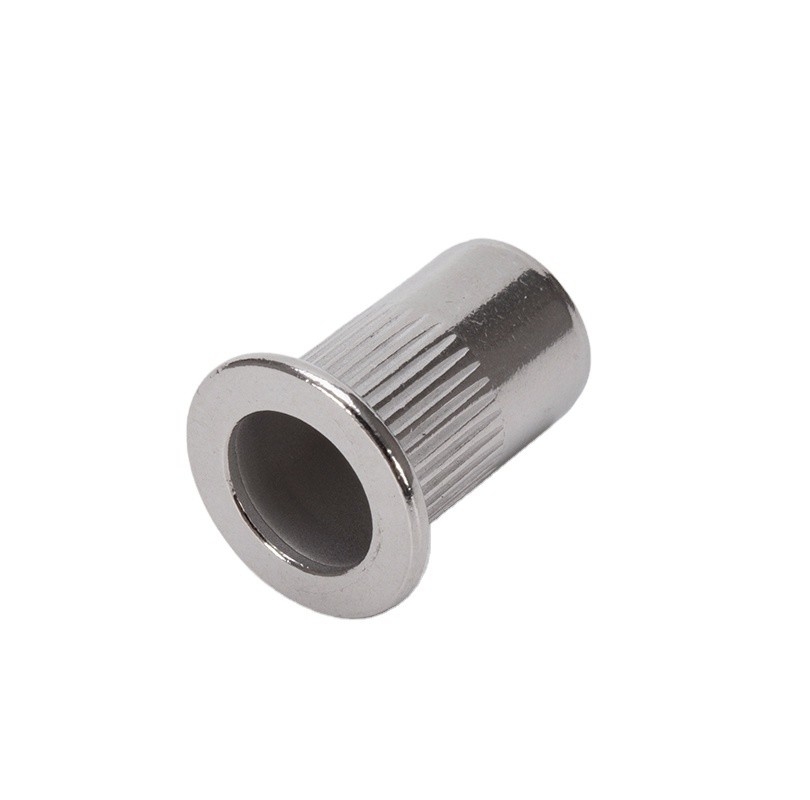 Zinc Plated M2 M4 M5 M8 M16 M14 M10 1.25 Hex Weld Flat Thin Head Insert Blind M20 Rivet Nut for High Pressure Applications